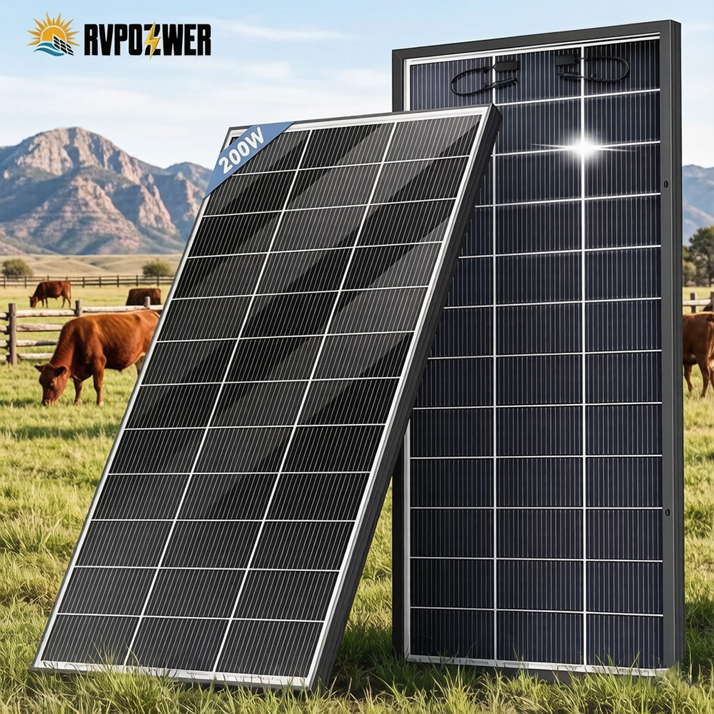Panneau solaire bifacial RVPOZ - Solar Panel 200W avis et prix